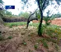 Снимка 5 — Къща в Благоевград, с. Рилци