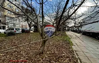 Къща в Добрич, Балчик