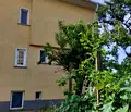 Снимка 3 — Къща в Добрич, Генерал Тошево