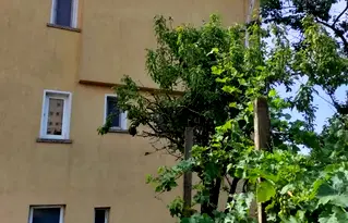 Къща в Добрич, Генерал Тошево