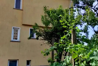 Къща в Добрич, Генерал Тошево
