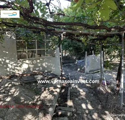 Photo 5 — House with 3 rooms in Rogachevo village, Dobrich region, with large yard