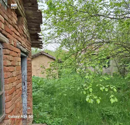 Снимка 5 — Къща с 2 дка двор в с. Сираково, област Добрич
