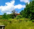 Снимка 4 — Къща в Хасково, с. Клокотница
