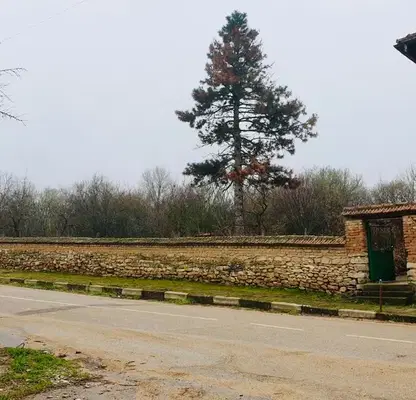 Снимка 3 — Къща в Монтана, с. Бели брод