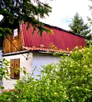 Къща в Перник, с. Големо Бучино