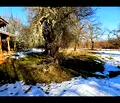 Снимка 5 — Къща в Перник, с. Калище