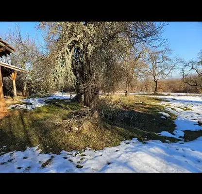 Снимка 5 — Къща в Перник, с. Калище