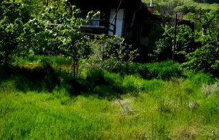 Къща в Пловдив, Асенов