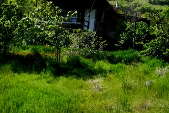 Къща в Пловдив, Асенов