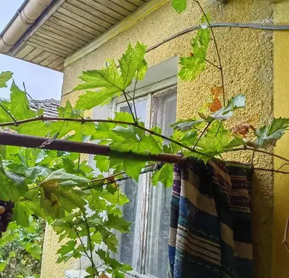 Photo 3 — House in Oblast Plovdiv, Ryjevo Konare