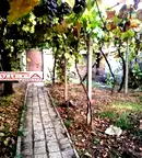 Къща в Пловдив, с. Ръжево Конаре