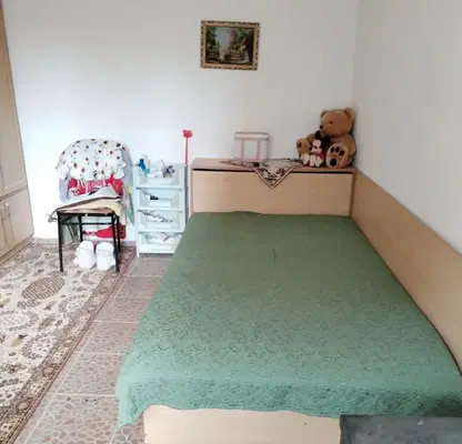 Снимка 2 — Едноетажна къща с гараж в с. Кара Михал, област Разград