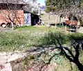 Снимка 4 — Къща в Русе, с. Борисово