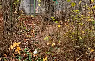 Къща в Шумен, с. Желъд