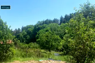 Къща в София, с. Пожарево