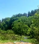 Къща в София, с. Пожарево