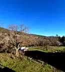 Къща в Стара Загора, с. Борилово