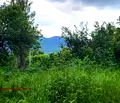 Снимка 5 — Къща в Стара Загора, с. Димовци