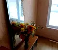 Снимка 4 — Къща в Стара Загора, с. Малък дол