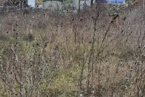 Къща във Варна, с. Кичево