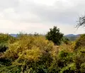 Снимка 4 — Къща във Велико Търново, Елена