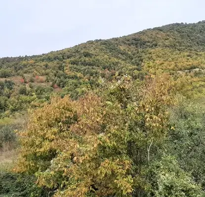 Photo 5 — House in Oblast Veliko Tyrnovo, Elena