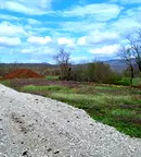 Къща във Велико Търново, Елена