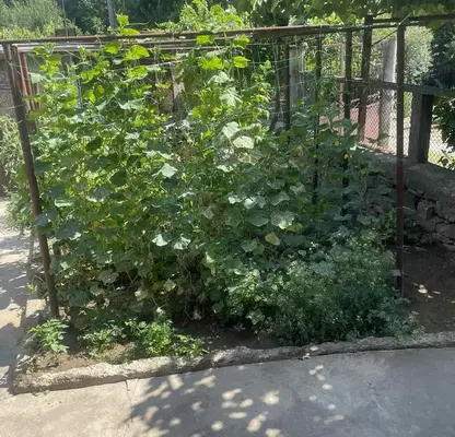 Снимка 3 — Къща във Велико Търново, Килифарево