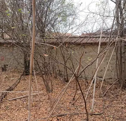 Photo 5 — House in Oblast Veliko Tyrnovo, Nedan