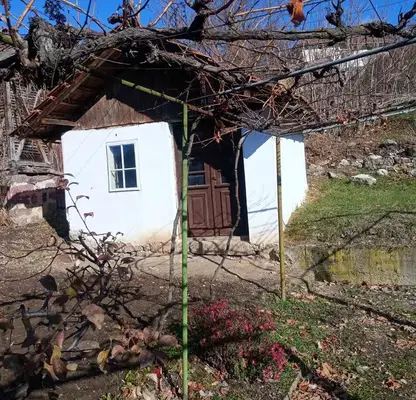 Photo 4 — House in Vidin, s. Pleshivets