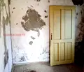 Снимка 5 — Къща във Видин, с. Плешивец