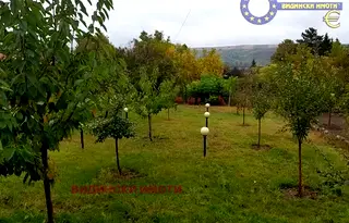 Къща във Видин, с. Синаговци