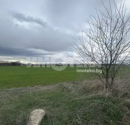 Photo 3 — Agricultural Land in Oblast Plovdiv, Branipole