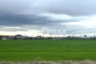 Земеделски имот в Пловдив, с. Браниполе