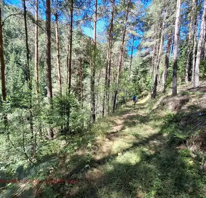 Photo 3 — Agricultural Land in Oblast Smolyan, Chepelare