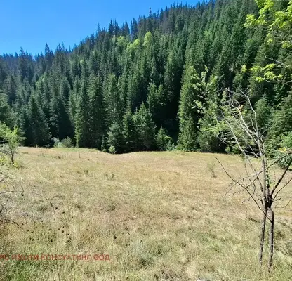 Photo 4 — Agricultural Land in Oblast Smolyan, Chepelare