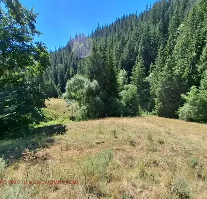 Photo 5 — Agricultural Land in Oblast Smolyan, Chepelare