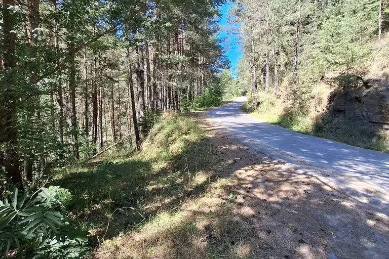 Agricultural Land in Oblast Smolyan, Chepelare