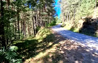 Земеделски имот в Смолян, Чепеларе