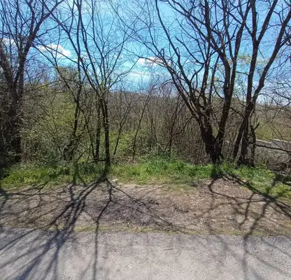 Photo 4 — Agricultural Land in област София, Myrchaevo