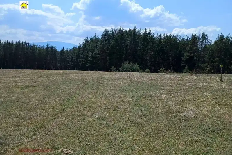 Agricultural Land in Oblast Pazardjik, Велин