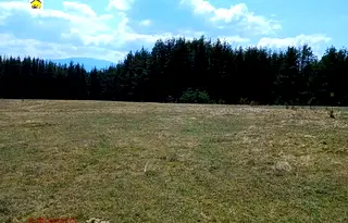 Земеделски имот в Пазарджик, Велин