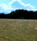 Земеделски имот в Пазарджик, Велин