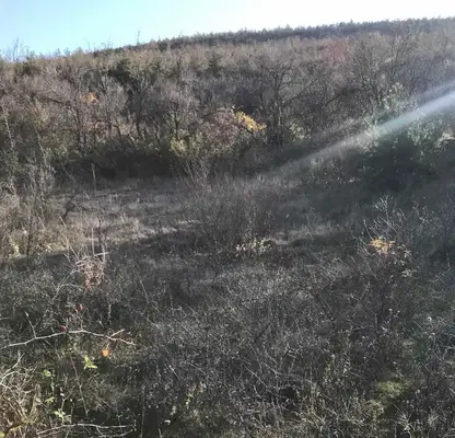 Photo 3 — Agricultural Land in Oblast Plovdiv, Brestovica