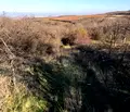 Снимка 4 — Земеделски имот в Пловдив, с. Брестовица