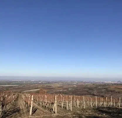 Photo 5 — Agricultural Land in Oblast Plovdiv, Brestovica