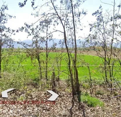 Photo 3 — Agricultural Land in Oblast Plovdiv, Calapica