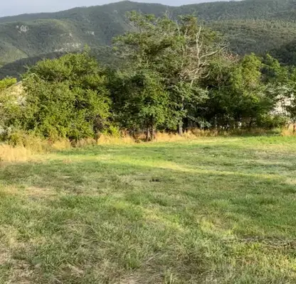 Photo 2 — Agricultural Land in Oblast Plovdiv, Dobralyk