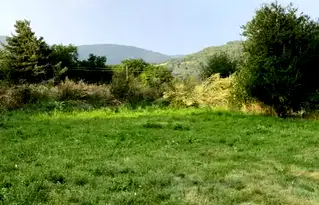 Земеделски имот в Пловдив, с. Добралък